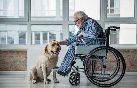 Animal-Assisted Therapy Major