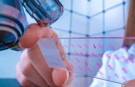 Cell/Cellular Biology and Histology Major