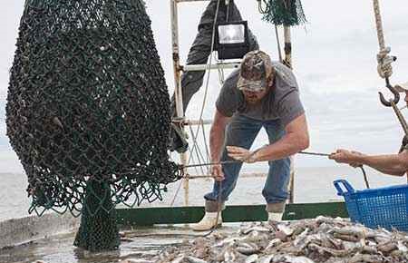 Fishing and Fisheries Sciences and Management Major