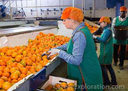 Agricultural and Food Products Processing