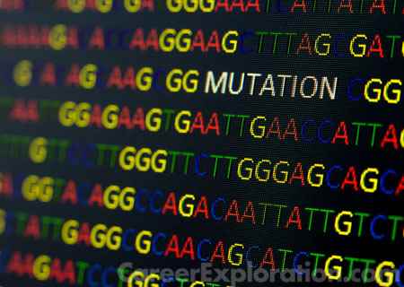 Genome Sciences/Genomics Major