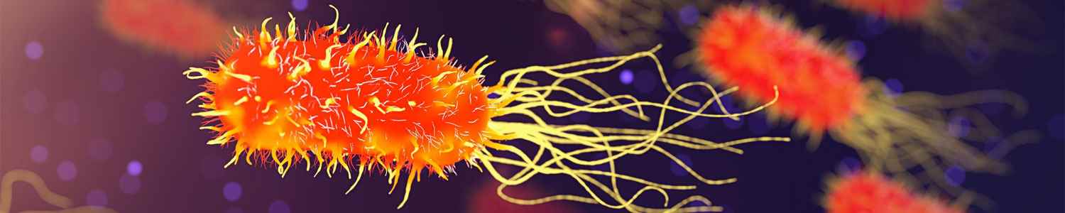 geneticsmicrobial-and-eukaryotic-genetics.header,jpg
