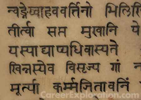 Hindi Language and Literature Major