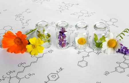 Natural Products Chemistry and Pharmacognosy Major